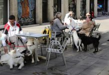 Cambios en las restricciones: Los bares y restaurantes de Esplugues podrán abrir hasta las 17.00h
