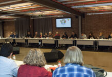 Renovación del Consejo de Ciudad